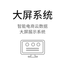 大屏展示系统